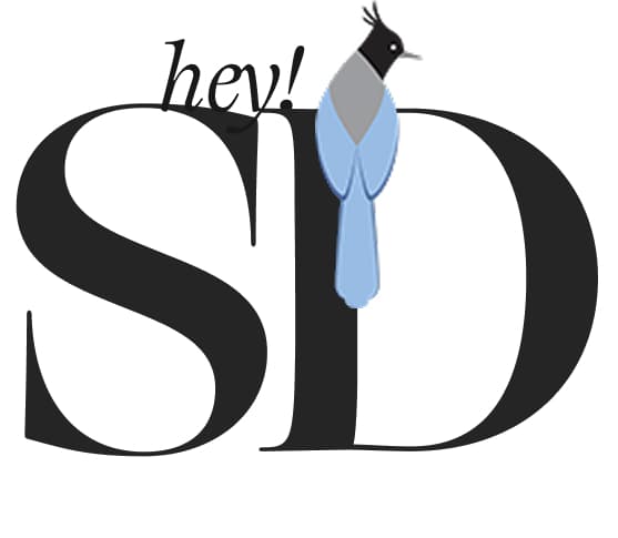 Hey SD logo, bold serif monogram with stellar jay bird perched on letterforms