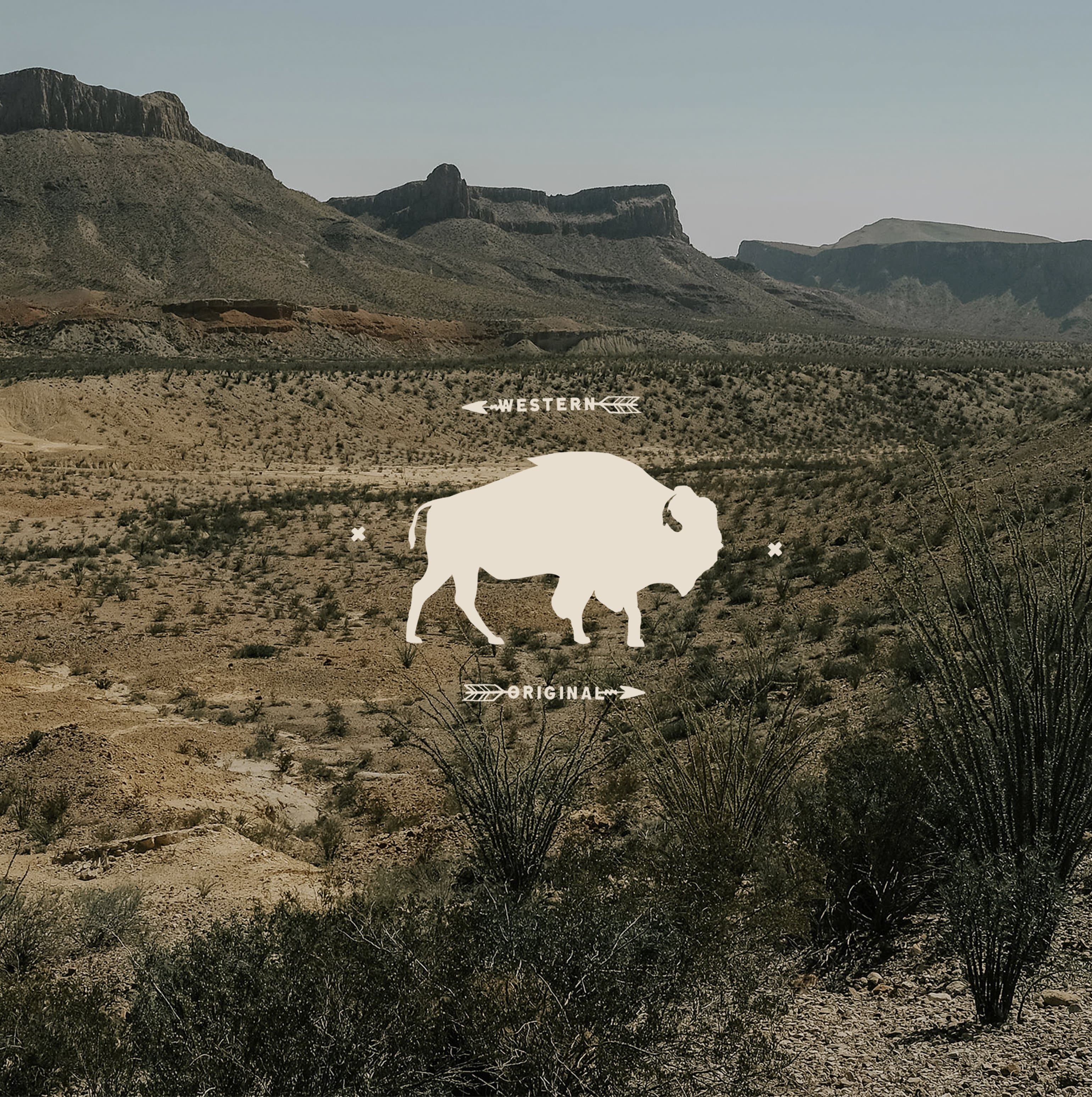 Cream buffalo silhouette set over a mesa-and-sage West Texas vista with Western Original arrow flourishes