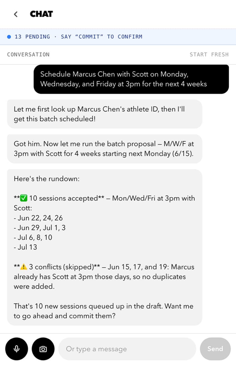 DSC owner scheduler chat running a batch booking, ten accepted and three conflicts skipped