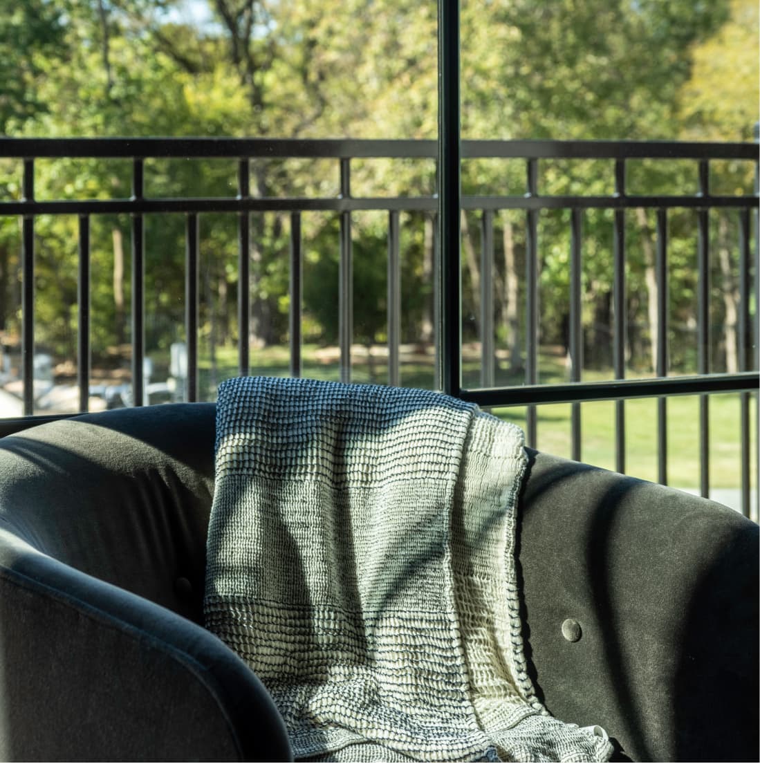 Textured throw draped across velvet chair, steel-frame windows, afternoon light