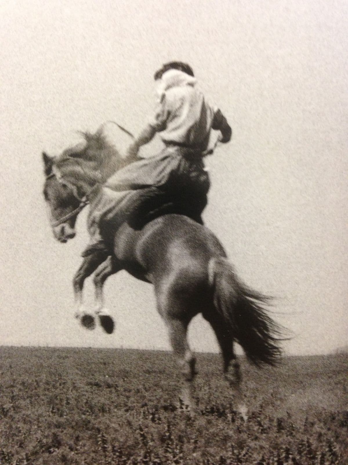 Black-and-white photograph, cowboy rearing on a horse in a grassy field