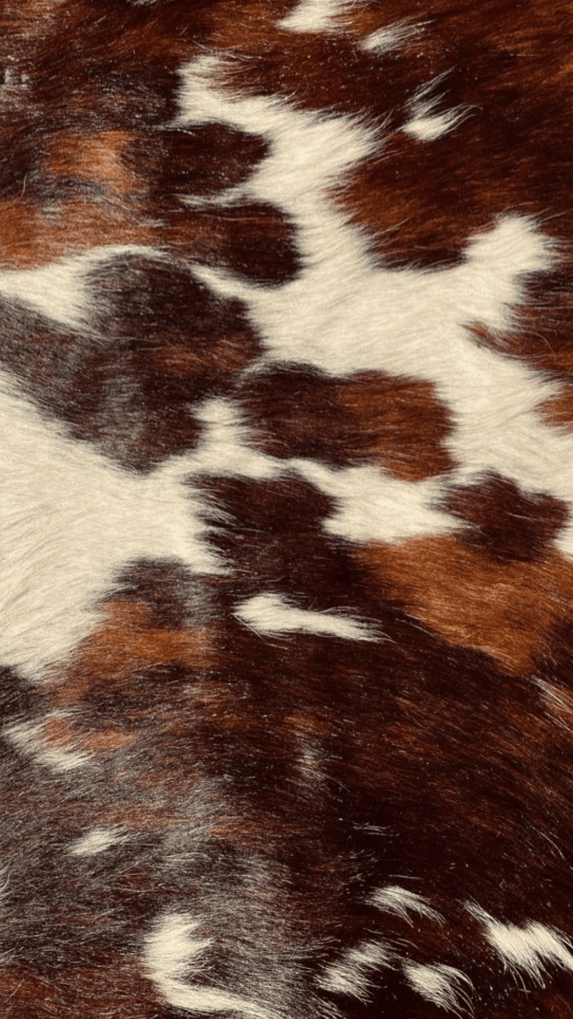 Tricolor cowhide texture in brown, white, and black patches