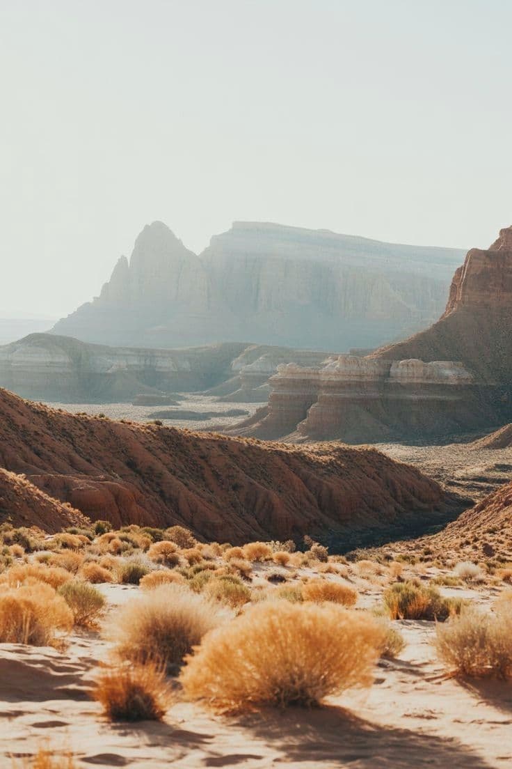 Utah desert canyons in warm afternoon light with sagebrush in the foreground