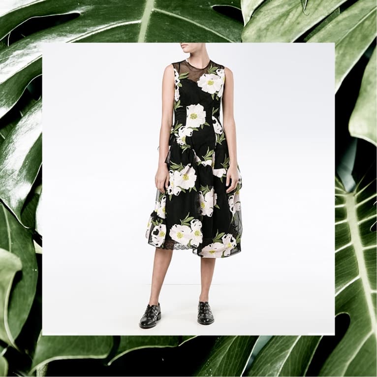 Simone Rocha black floral dress framed by extreme-cropped monstera leaves on a studio white
