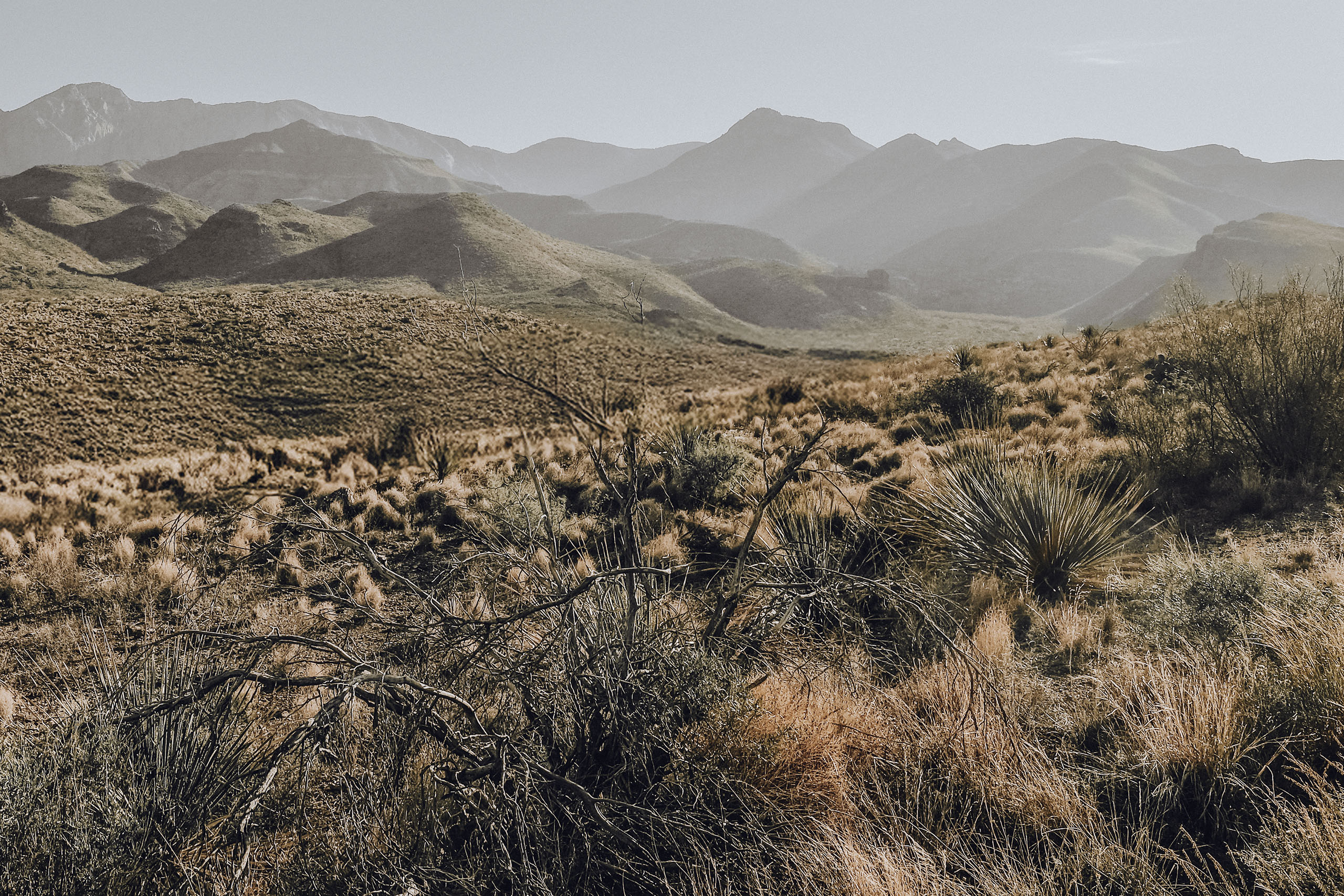 Layered ridgelines of the Chisos fading into afternoon haze above the Big Bend desert