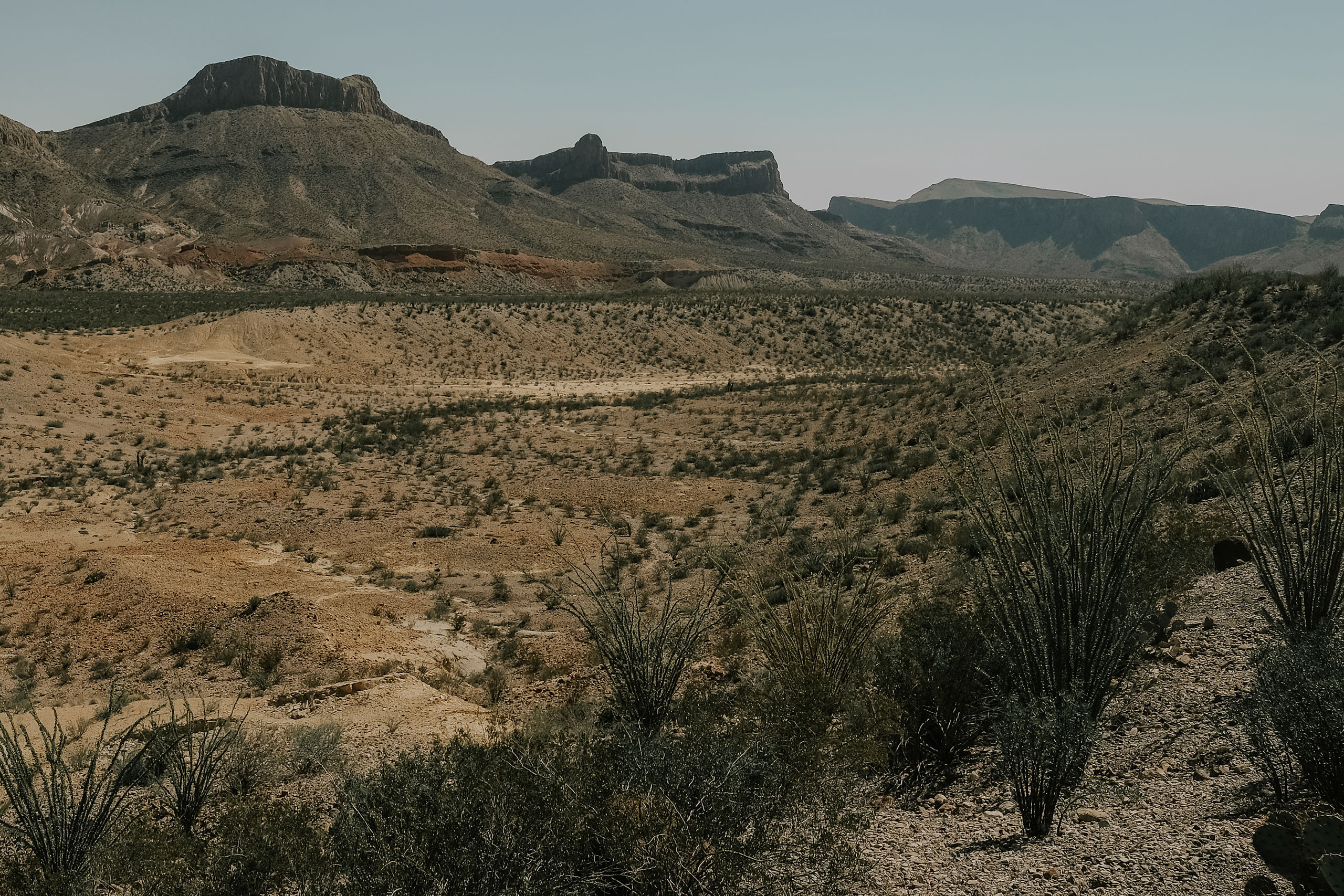 A dirt road cutting through the Big Bend basin toward a long mesa on the horizon