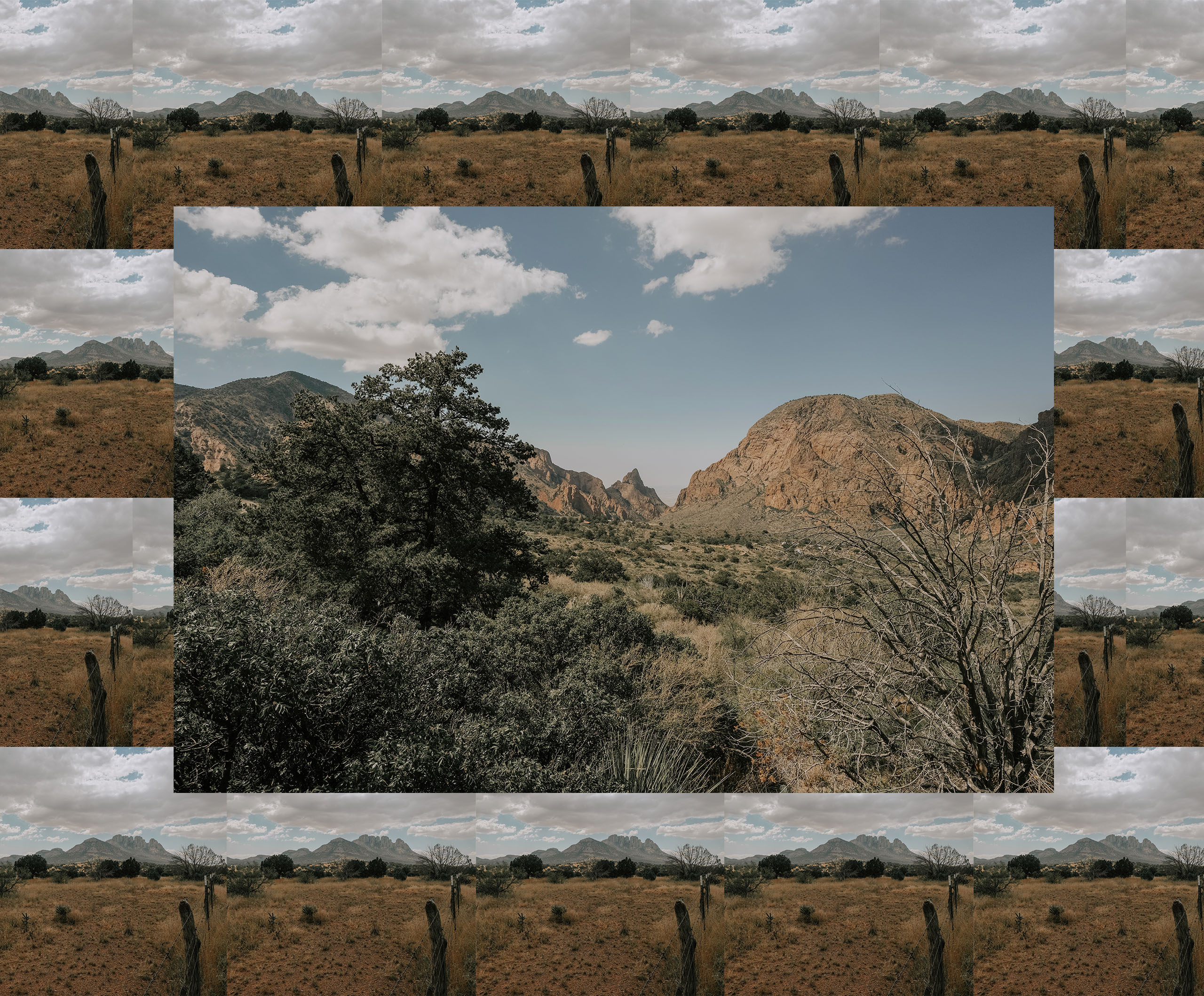 A wide view toward the window in the Chisos Basin, laid over a repeating grid of the same fence line and desert ridgeline