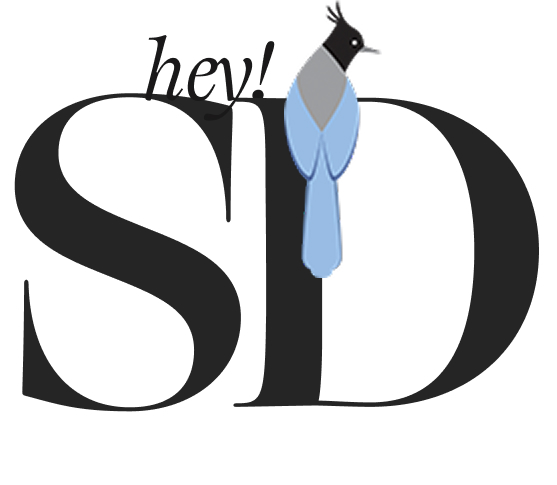 Hey SD logo, bold serif monogram with stellar jay bird perched on letterforms