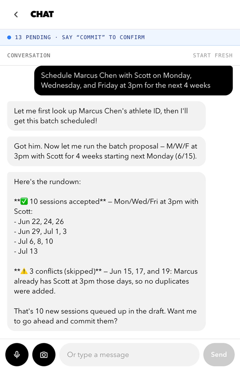 DSC owner scheduler chat running a batch booking, ten accepted and three conflicts skipped