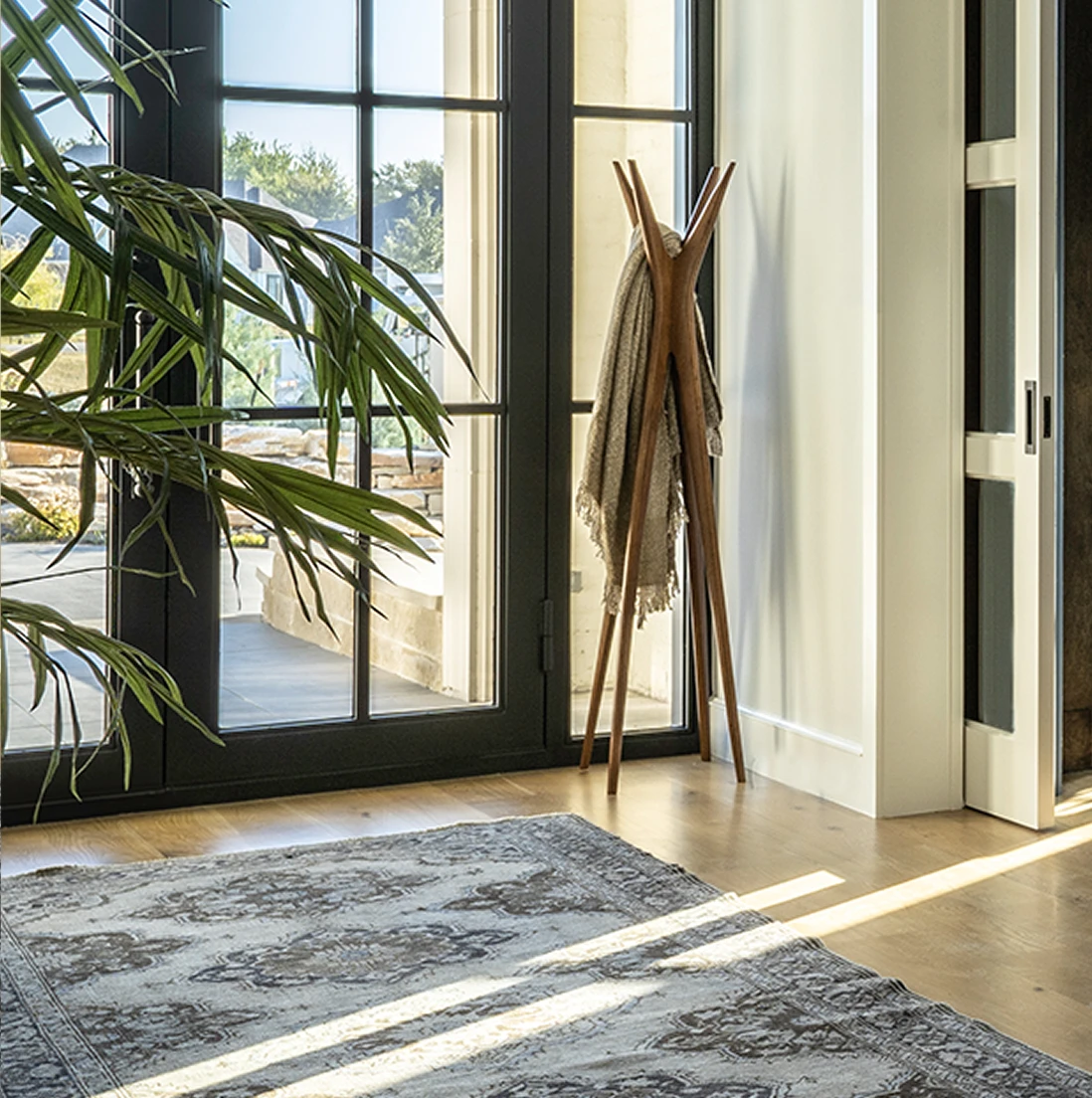 Tight detail of the potted palm, wood coat tree, and the corner of the vintage rug catching morning sunlight on white oak floors