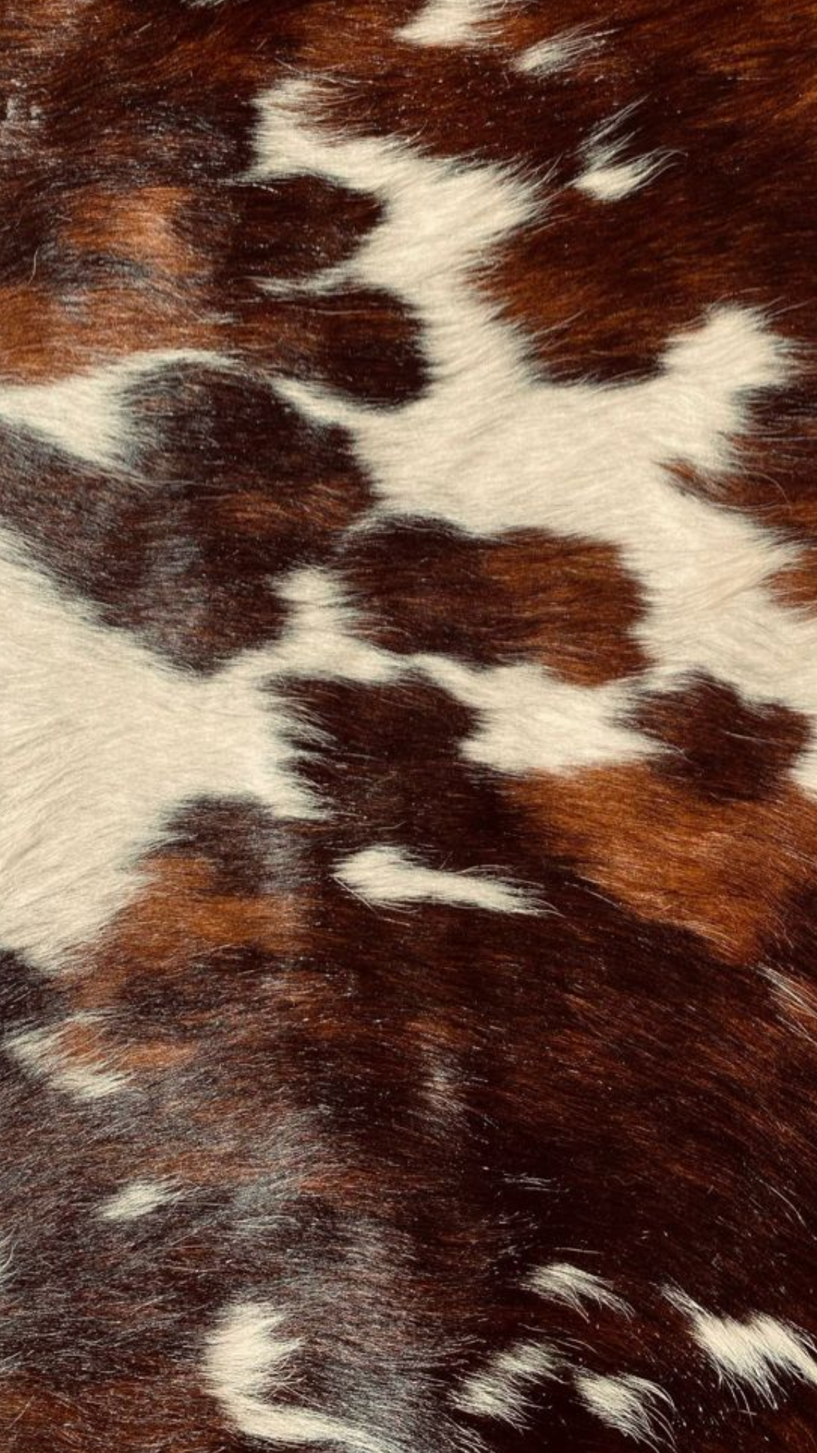 Tricolor cowhide texture in brown, white, and black patches